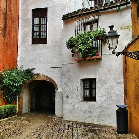 Entire 170m2 1min Walking From Cathedral Apartment