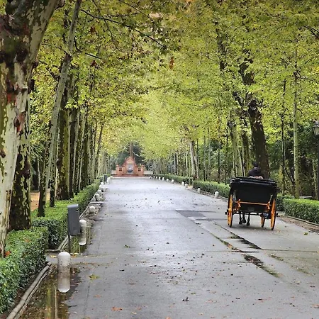 Entire 170m2 1min Walking From Cathedral *